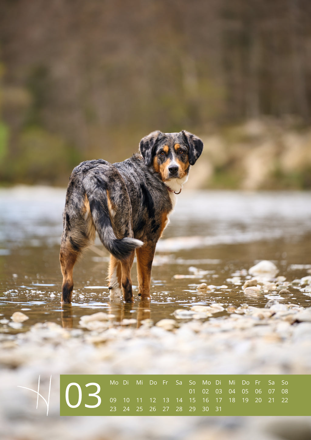 Hennott Fotokalender 2026