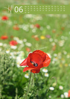 Hennott Fotokalender 2026