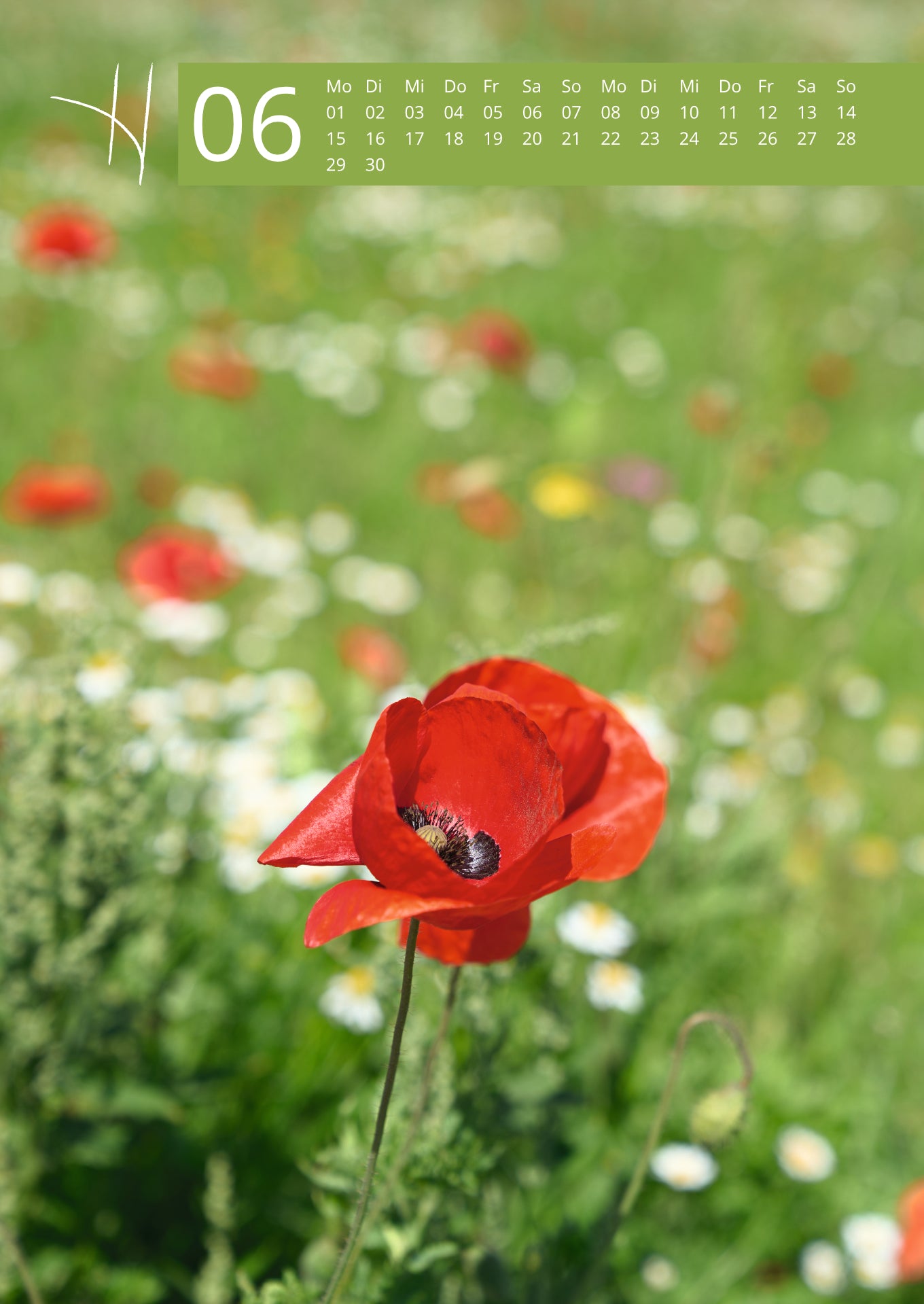 Hennott Fotokalender 2026