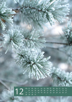 Hennott Fotokalender 2026